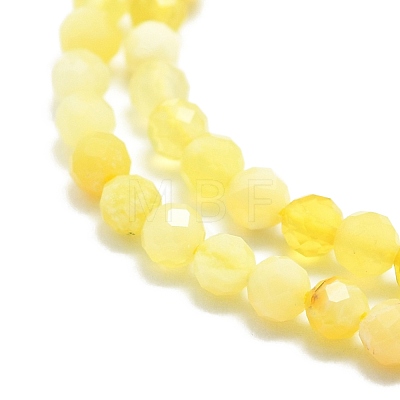 Natural Yellow Opal Beads Strands G-P457-A02-18-1
