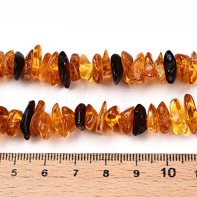 Natural Amber Beads Strands G-T138-235E-1