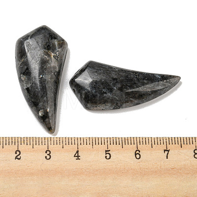 Natural Labradorite Pendants G-M417-04B-1