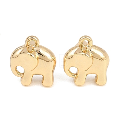 Alloy Charms AL-CBA83D5-23G-1