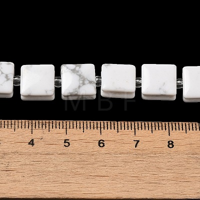 Natural Howlite Beads Strands G-L596-A19-01-1