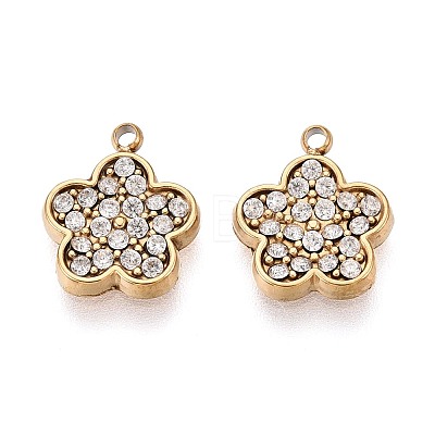 304 Stainless Steel Micro Pave Cubic Zirconia Charms STAS-N115-50G-1