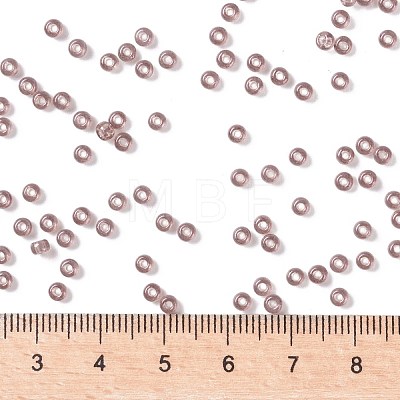 MIYUKI Round Rocailles Beads X-SEED-G008-RR0303-1