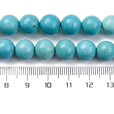 Dyed Natural Magnesite Beads Strands G-P558-A01-01B-1