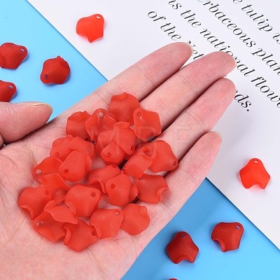 Transparent Acrylic Beads MACR-S373-106-D-1