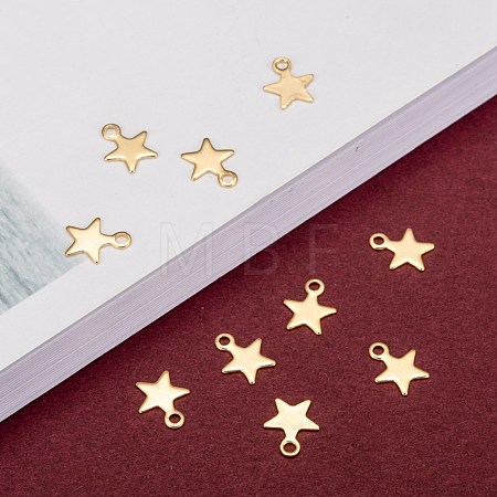 304 Stainless Steel Charms X-STAS-F159-43G-1