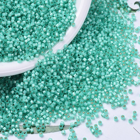 MIYUKI Delica Beads X-SEED-J020-DB0627-1