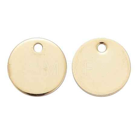 304 Stainless Steel Charms STAS-F174-06G-1