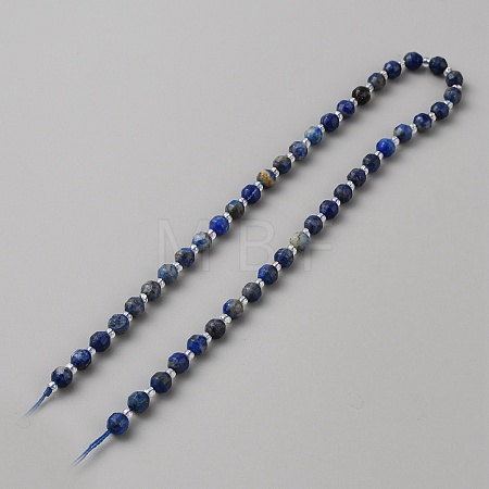 Natural Lapis Lazuli Beads Strands G-WH0021-59D-1
