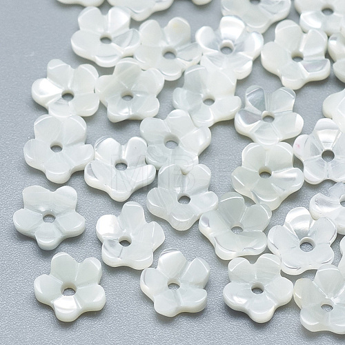 Natural White Shell Beads SSHEL-S260-053-1