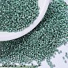 MIYUKI Delica Beads SEED-J020-DB0432-1