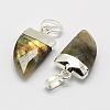 Natural Labradorite Pendants G-G720-13-S03-2