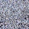 MIYUKI Delica Beads LS-X-SEED-J020-DB0051-2