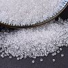 MIYUKI Delica Beads SEED-X0054-DB0141-1