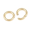Brass Twister Clasp KK-Z146-04G-01-2