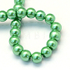 Baking Painted Pearlized Glass Pearl Round Bead Strands HY-Q003-10mm-69-4