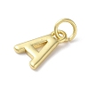 Rack Plating Brass Charms KK-P245-06G-A-2