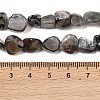 Natural Moonstone Beads Strands G-A284-A01-01-5