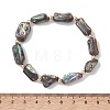 Natural Abalone Shell/Paua Shell Beads Stretch Bracelets for Women Men BJEW-JB13544-2