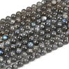 Natural Labradorite Beads Strands G-P336-19-8mm-01-2