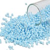 TOHO 8/0 Round Beads X-SEED-TR08-0124-1