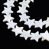 Natural Freshwater Shell Beads Strands X-SHEL-S278-01D-01-3
