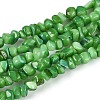 Natural Freshwater Shell Beads Strands SHEL-N037-04J-1