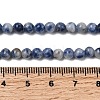 Natural Blue Spot Jasper Beads X-GSR4mmC036-3
