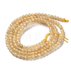 Natural Yellow Garnet Beads Strands G-Z129-C01-3mm-01-3