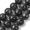 Natural Larvikite Beads Strands G-A310-A03-16mm-2