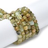 Natural Green Garnet Beads Strands G-NH0044-A01-2