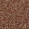 MIYUKI Delica Beads SEED-X0054-DB1241-3