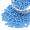 8/0 Czech Opaque Glass Seed Beads SEED-N004-003A-17-1