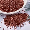 MIYUKI Delica Beads X-SEED-J020-DB1838-1