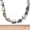 Natural Abalone Shell/Paua Shell Nuggets Beaded Necklaces NJEW-JN05972-4