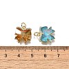 Brass Micro Pave Cubic Zirconia Charms KK-Q043-02G-3