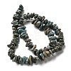 Natural Serpentine Beads Strands G-F771-C01-02-3