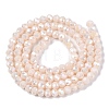 Electroplate Glass Beads Strands LS-EGLA-A044-P3mm-B05-3
