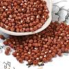 Baking Painted Glass Seed Beads SEED-C004-01S-1