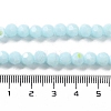 Opaque Glass Beads Strands EGLA-A035-P6mm-L10-4