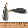 Natural Labradorite Pendants G-Q192-07G-06-3