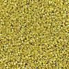 MIYUKI Delica Beads SEED-X0054-DB0424-3