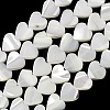 Natural Trochid Shell/Trochus Shell Beads Strands SH-CBA2978-19B-1