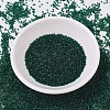 MIYUKI Delica Beads SEED-MY11-DB0713-2