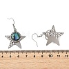 Paua Shell and 304 Stainless Steel Dangle Earrings EJEW-JE07471-5