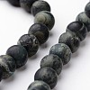 Frosted Round Natural Kambaba Jasper Bead Strands G-J346-30-6mm-1