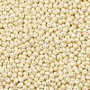6/0 Glass Seed Beads X1-SEED-L011-08A-16-3