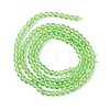 Transparent Glass Beads Strands GLAA-C019-01B-19-2