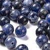 100Pcs 8mm Natural Sodalite Beads DIY-LS0002-32-4