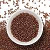 TOHO 8/0 Round Beads X-SEED-TR08-1849-2